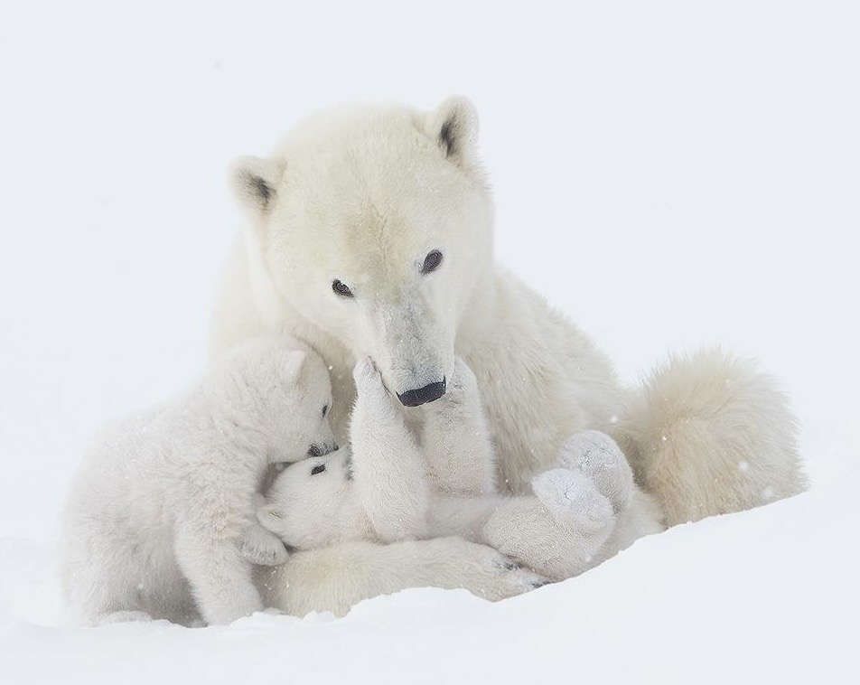 semiconductor entrepreneur